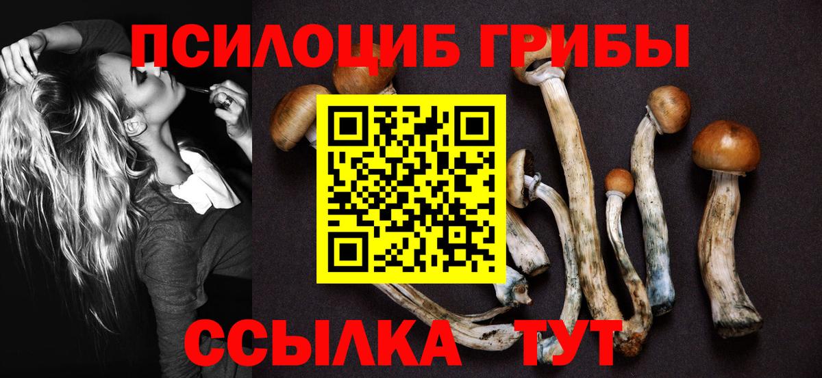 Галлюциногенные грибы мицелий Горячий Ключ