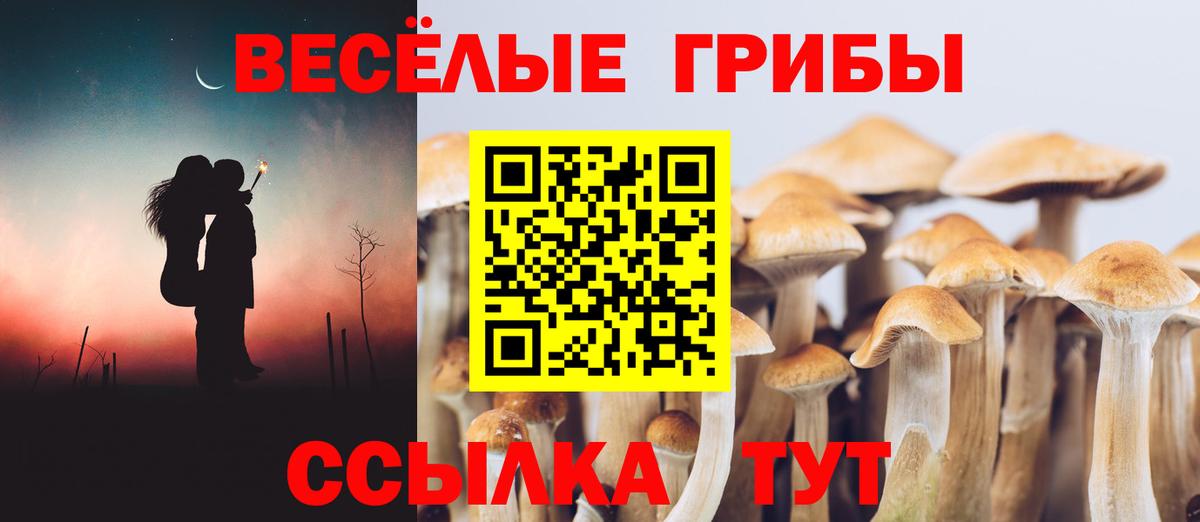 Псилоцибиновые грибы Psilocybe  Псилоцибиновые грибы Magic Shrooms  Вход с VPN  Горячий Ключ 